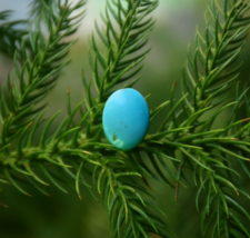 AAA+ Natural Turquoise Gemstone, Oval Shape Turquoise, Jewelry Making Ge... - €12,09 EUR