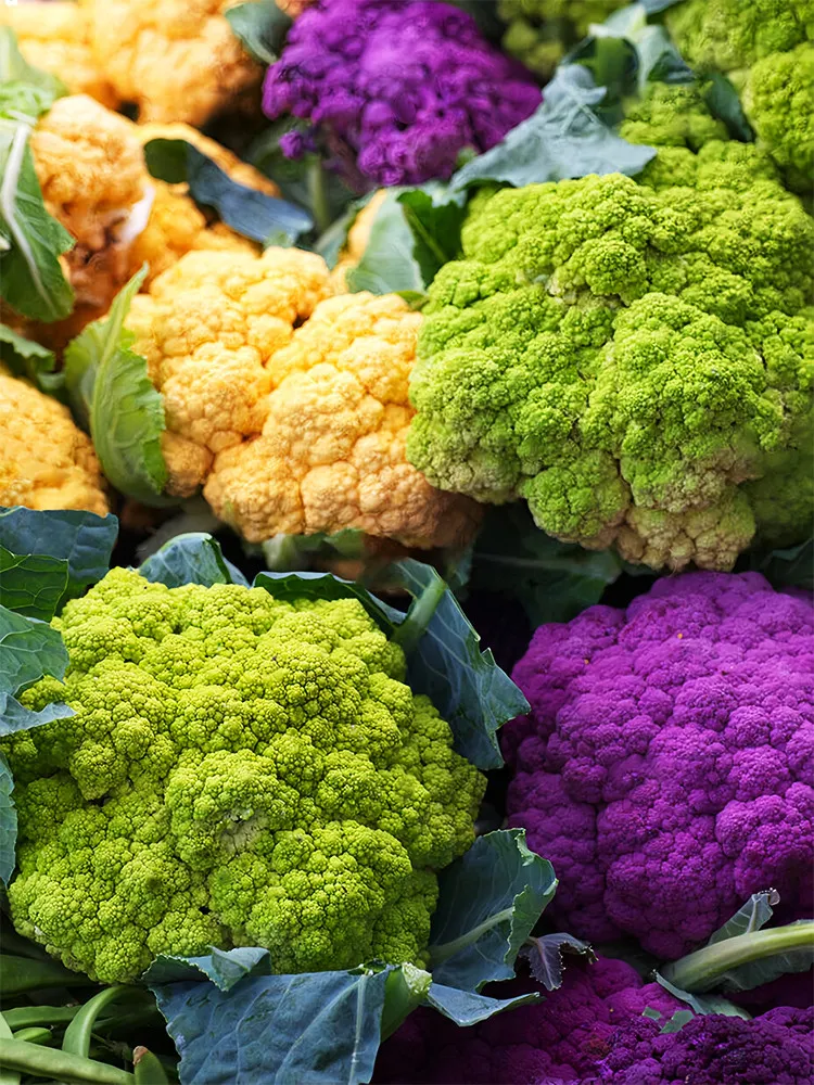 From US 20 pcs Broccoli Seeds Mix Purple/Romanesco/Yellow Ground Cover - £7.82 GBP