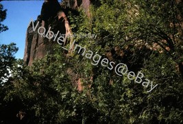 1962 Zion National Park Mountainside Trees Utah Kodachrome 35mm Slide - £2.76 GBP
