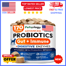 Dog Probiotics Chews: Digestive Enzymes,170 Ct - Gut Health &amp; Allergy Su... - $18.69