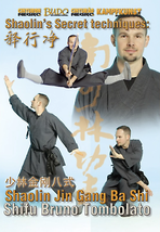 Shaolin Secret Techniques Jin Gang Ba Shi DVD by Bruno Tombolato. - £21.10 GBP
