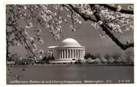 RPPC Postcard Jefferson Memorial &amp; Cherry Blossoms Washington DC - £7.11 GBP