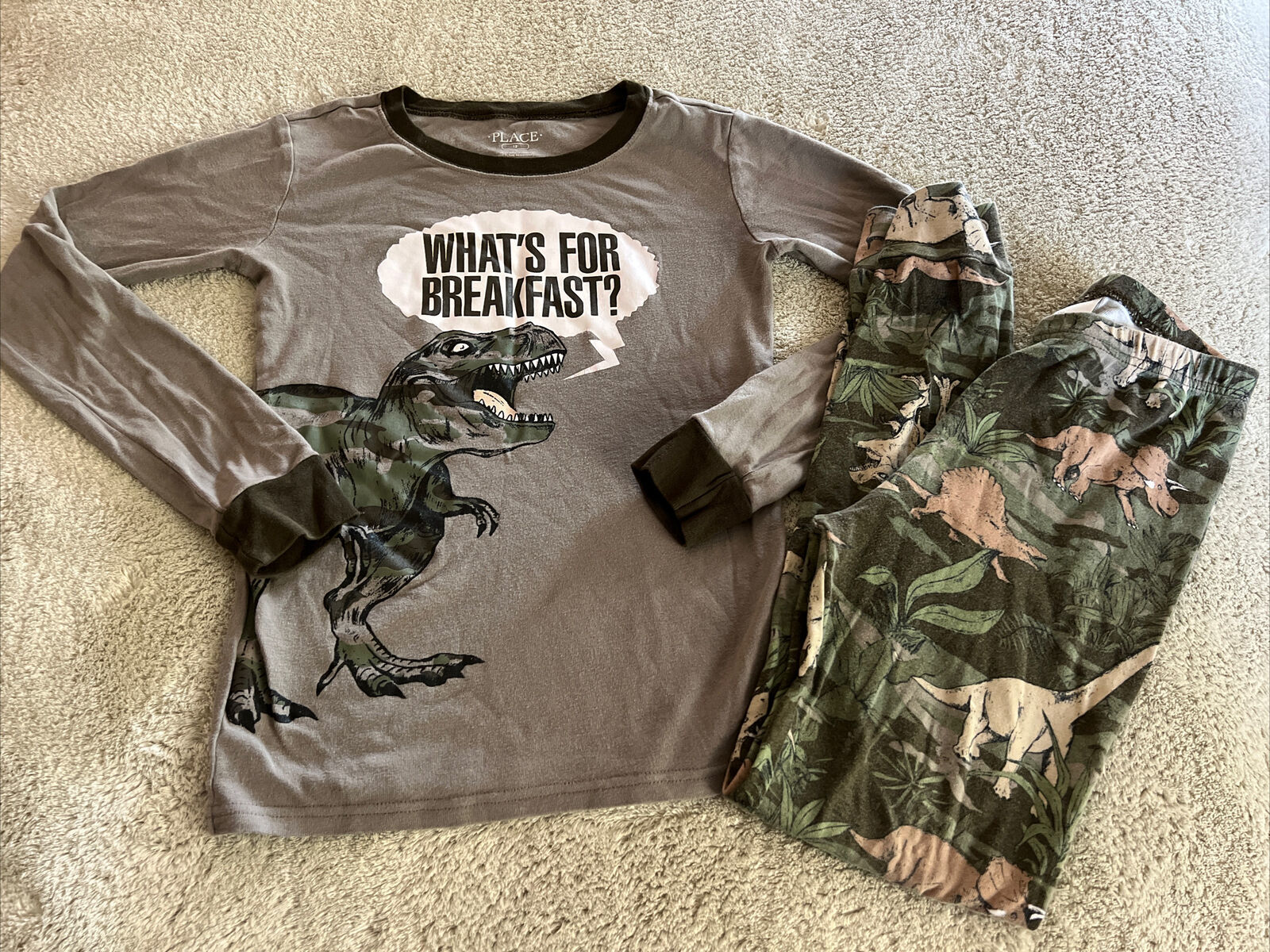 Childrens Place Boys Brown Green T Rex What’s For Breakfast Snug Pajamas 12 - $12.25