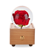 Real Preserved Flower Wireless Bluetooth Speaker, LED Night Light in Glass Dome - $40.49