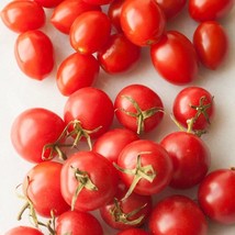 Grape Red Cherry Tomato On Same Plant US Seller Fast Shipping - £4.59 GBP