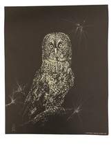 Signed Print By Jane Hill Large Owl In A Pine Tree Black &amp; White Copyright 1977 - $18.70