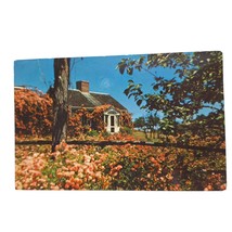 Postcard Beautiful Wild Roses Rose Cottage Cape Cod Chatham Massachusett... - $6.98