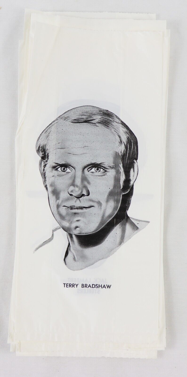 VINTAGE UNUSED 1970s Super Star Lunch Bag Terry Bradshaw / Andy Russell Steelers - £4.63 GBP
