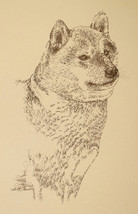 Japanese Shiba Inu Dog Art Print #34 Stephen Kline adds your dogs name f... - $49.95