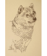 Japanese Shiba Inu Dog Art Print #34 Stephen Kline adds your dogs name f... - £39.92 GBP