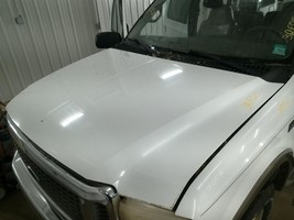 Hood Fits 99-07 FORD F250SD PICKUP 104857308 - $5,966.65 MXN