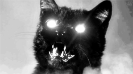 Haunted Black Sun Ritual Direct binding Sith Cat Powerful ancient Witch magickal - £207.74 GBP