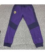 Grassroots California Sweatpants Men Extra Large Purple Pocket Outdoor 3... - $710.65 MXN