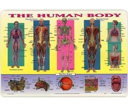 Item image 1 image 1