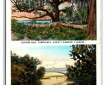 Dual View Lovers Oak Mullett Creek Tampa Bay Florida FL WB Postcard Y9 - $5.89