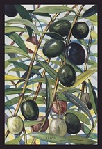Olives - Art Print - £17.57 GBP+
