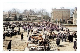 ptc3188 - Yorks. - The Otley Cattle &amp; Livestock Market back in 1884 - pr... - $3.00