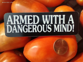 Small Hand made Decal sticker Armed With A Dangerous Mind - $5.86