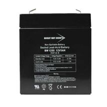 Bright Way Group BW 1250 F1 (0124) BWG 1250 F1 Battery - $67.42