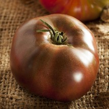 USA Non GMO 30 Seeds Tomato Black Brandywine Juicy Beefsteak Indeterminate Heirl - £6.87 GBP