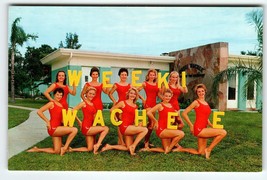 Weeki Wachee Mermaids Florida Postcard Ladies In Swimsuits Holding Letters Retro - £12.33 GBP