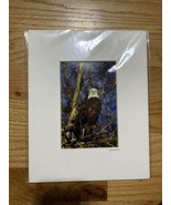 Bald Eagle Jim Stamates Collection Original Fine Art Photograph - £10.89 GBP