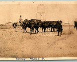 RPPC Named Subject Cowboy Frank David On a Horse Herding Cattle UNP Post... - $29.36