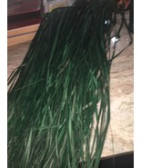 green xxs/ junior luau hula skirt straw - €12,89 EUR