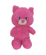 Build A Bear Workshop Razzy Berry Hot Pink Kitty Cat Talking Plush 2013 ... - €22,87 EUR