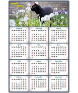 2020 Magnetic Calendar - Calendar Magnets - Today is My Lucky Day - Cat ... - £12.65 GBP