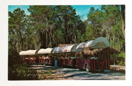 Weeki Wachee Wagon Train Mermaids Florida Attraction Koppel Cards Postcard 1960s - $9.99