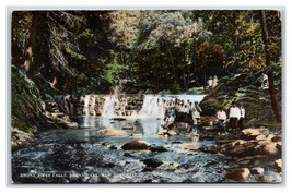 Bronx River Falls Bronx Park New York CIty NY NYC UNP DB Postcard W9 - £3.12 GBP