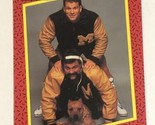 Steiner Brothers WCW Trading Card World Championship Wrestling 1991 #114 - $1.97