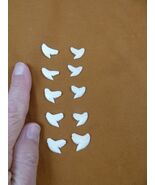 SW-1-N-2-50 Wholesale 10 (5left/right) 5/8&quot; modern Tiger Shark T**th DIY... - $37.63 CAD