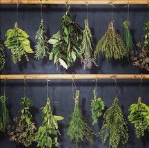 Botanical Black and Green Texture Vinyl Wallpaper - $31.35 CAD