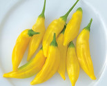 Aji Lemon Drop Hot Pepper 20 Seeds Fast Shipping - £7.22 GBP