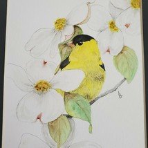 LuAnn Buechel American Goldfinch and Magnolia Colored Pencil Drawing Wisconsin - £15.57 GBP