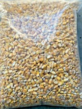 Whole Corn Animal Wildlife &amp; Farm Feed, 20 Lbs Deer, Cow, Turkey. NEW Sale - £17.80 GBP