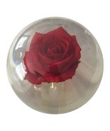 KR Strikeforce Clear Bowling Ball, Red Rose, League Tournament Bowler - $89.99