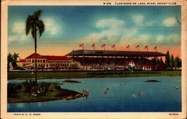Linen POSTCARD- Flamingos On Lake, Miami Jockey Club, Florida BK50 - £3.94 GBP