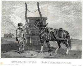 Antique Print Farmer with A Horse Benjamin Marshall Painting 1809 - £23.00 GBP