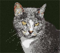 Pepita Needlepoint kit: Cat with Whiskers, 11&quot; x 10&quot; - £68.74 GBP+