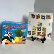 Looney Tunes Tweety Chia Planter Ceramic w Box + Vintage Shipping Box - $830.22 MXN