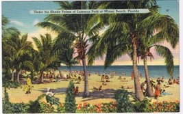 Postcard Under The Shady Palms Of Lummus Park Miami Beach Florida - $2.96