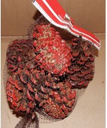 Pinecones Ashland Christmas Red Tiped Covered USA Unscented Bag Full 151U - $6.16 CAD