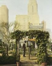 United States Victory Garden High-Rises Chesterfield World War I WWI 8x1... - £7.04 GBP