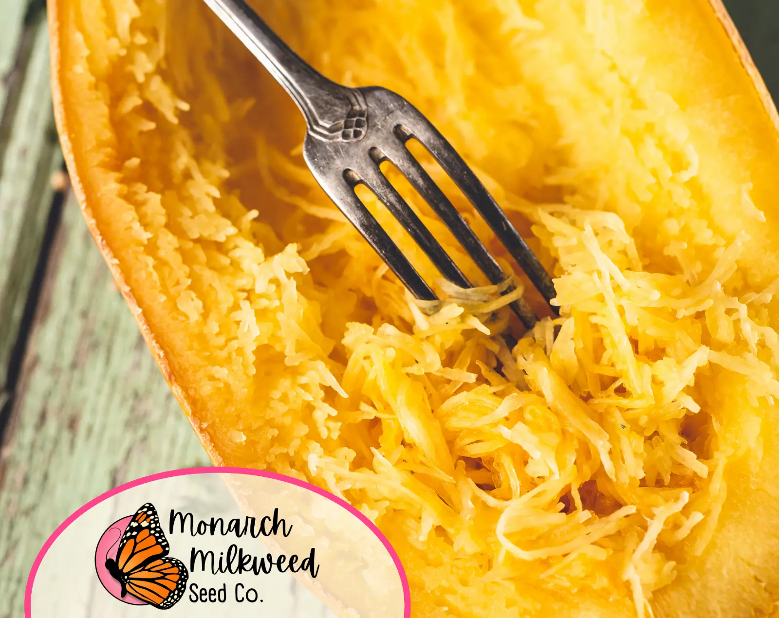 35+ Spaghetti Squash Seeds | Heirloom, Non-GMO, Vegetable Gardening Seed... - $12.39