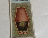 Starting Out Bulbs WD &amp; HO Wills Vintage Cigarette Card #25 - $2.96