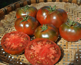 Seeds 50 Paul Robeson Tomato Seeds Heirloom Fresh Harvest - £8.01 GBP