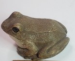 Sandicast Frog Toad Figurine Hand Cast Sandra Brue 1984 Glass Eyes Reali... - $24.70